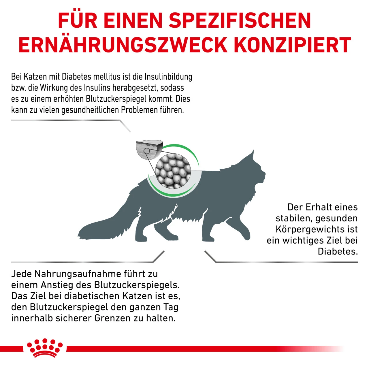 Sparpaket Royal Canin Diabetic Für Katzen – Bild 4