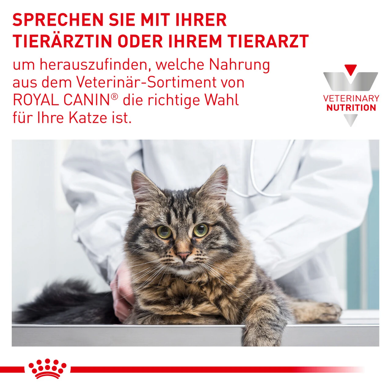 Sparpaket Royal Canin Diabetic Für Katzen – Bild 7
