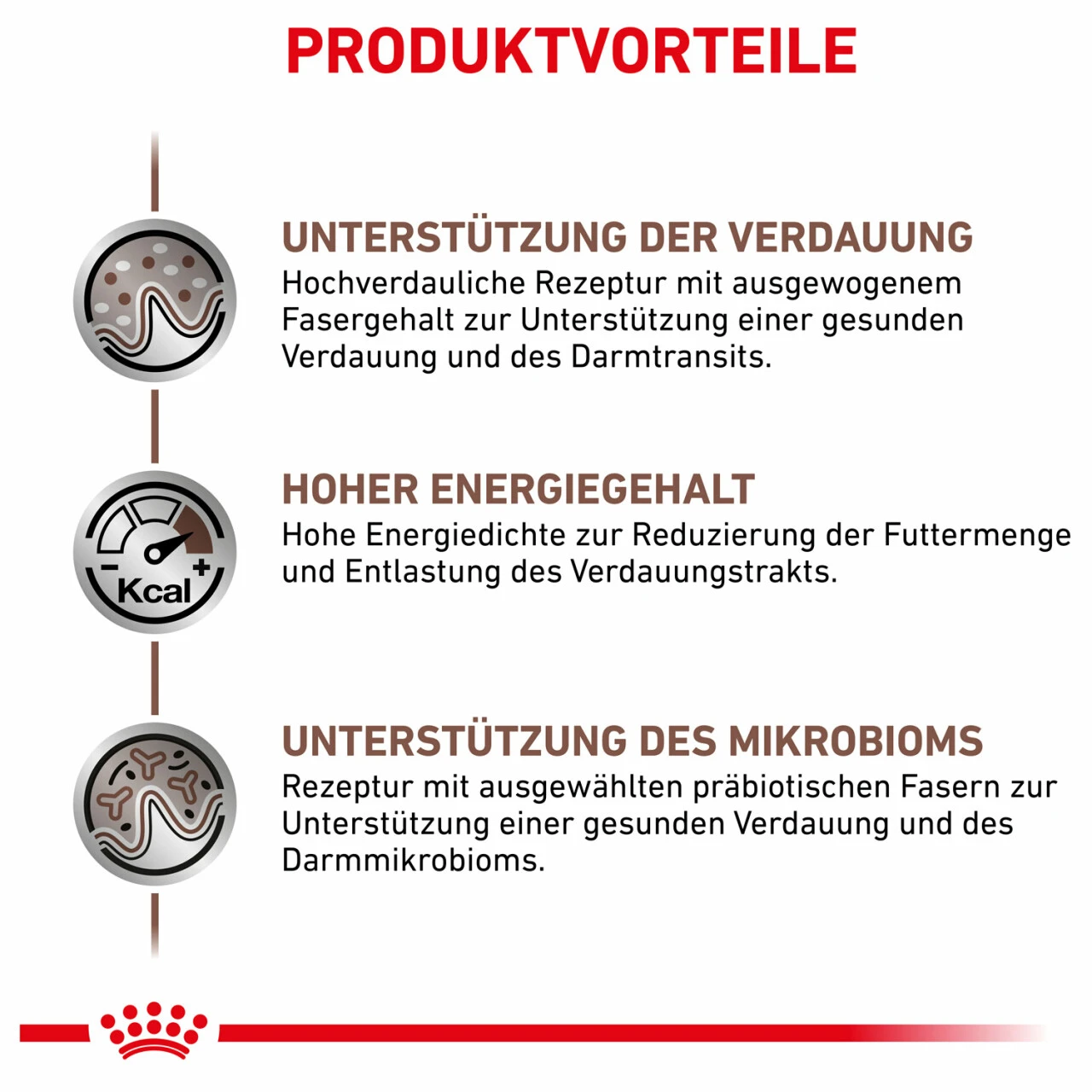 Royal Canin Gastrointestinal Trockenfutter Für Katzen – Bild 3