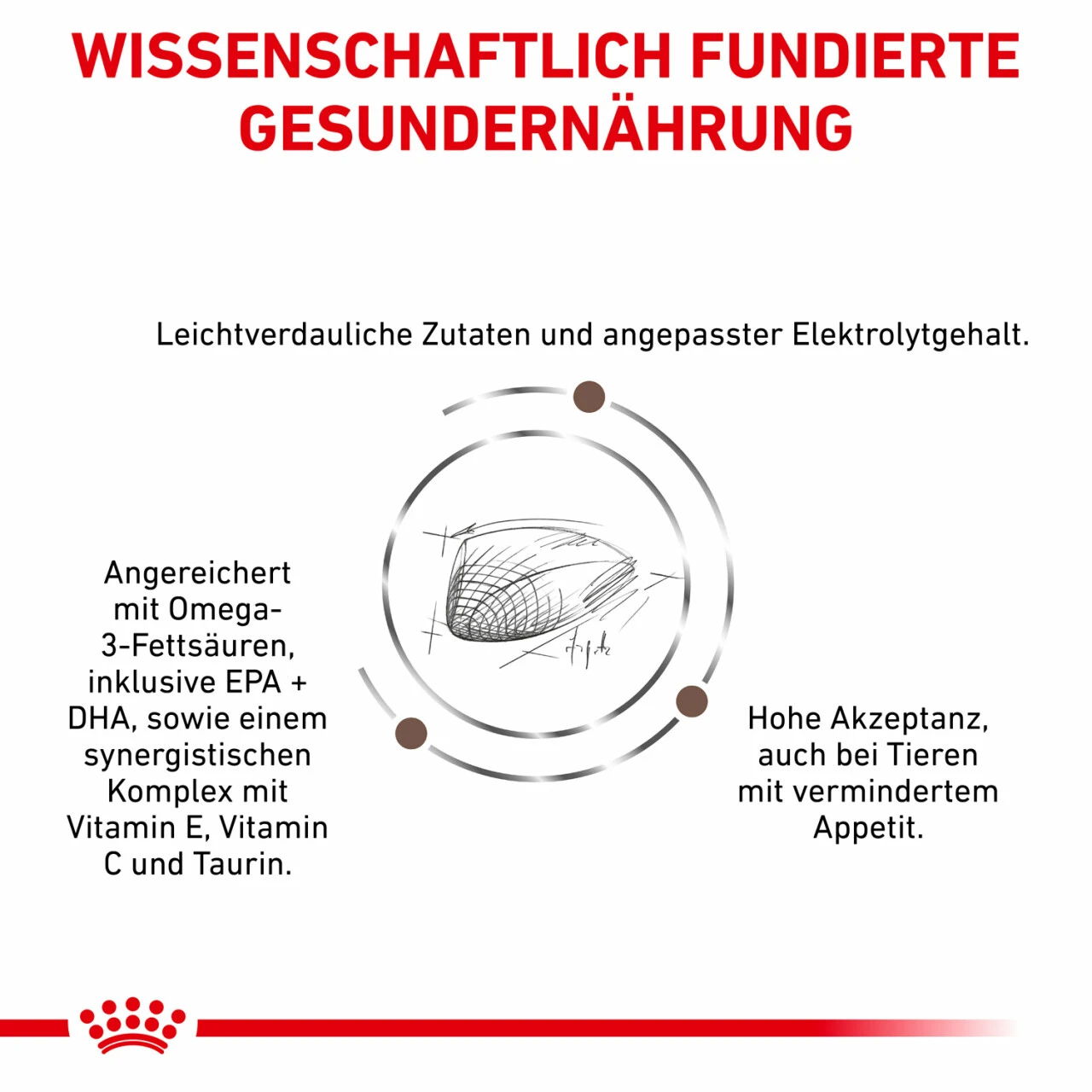 Royal Canin Gastrointestinal Trockenfutter Für Katzen – Bild 4