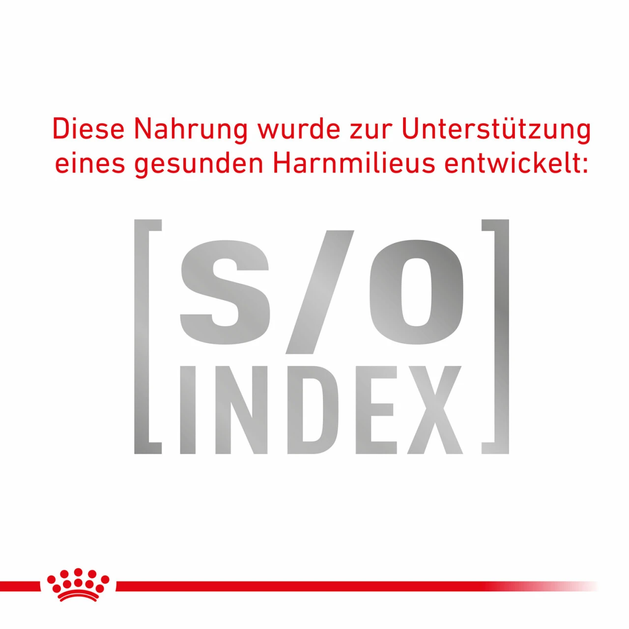 Royal Canin Gastrointestinal Trockenfutter Für Katzen – Bild 8